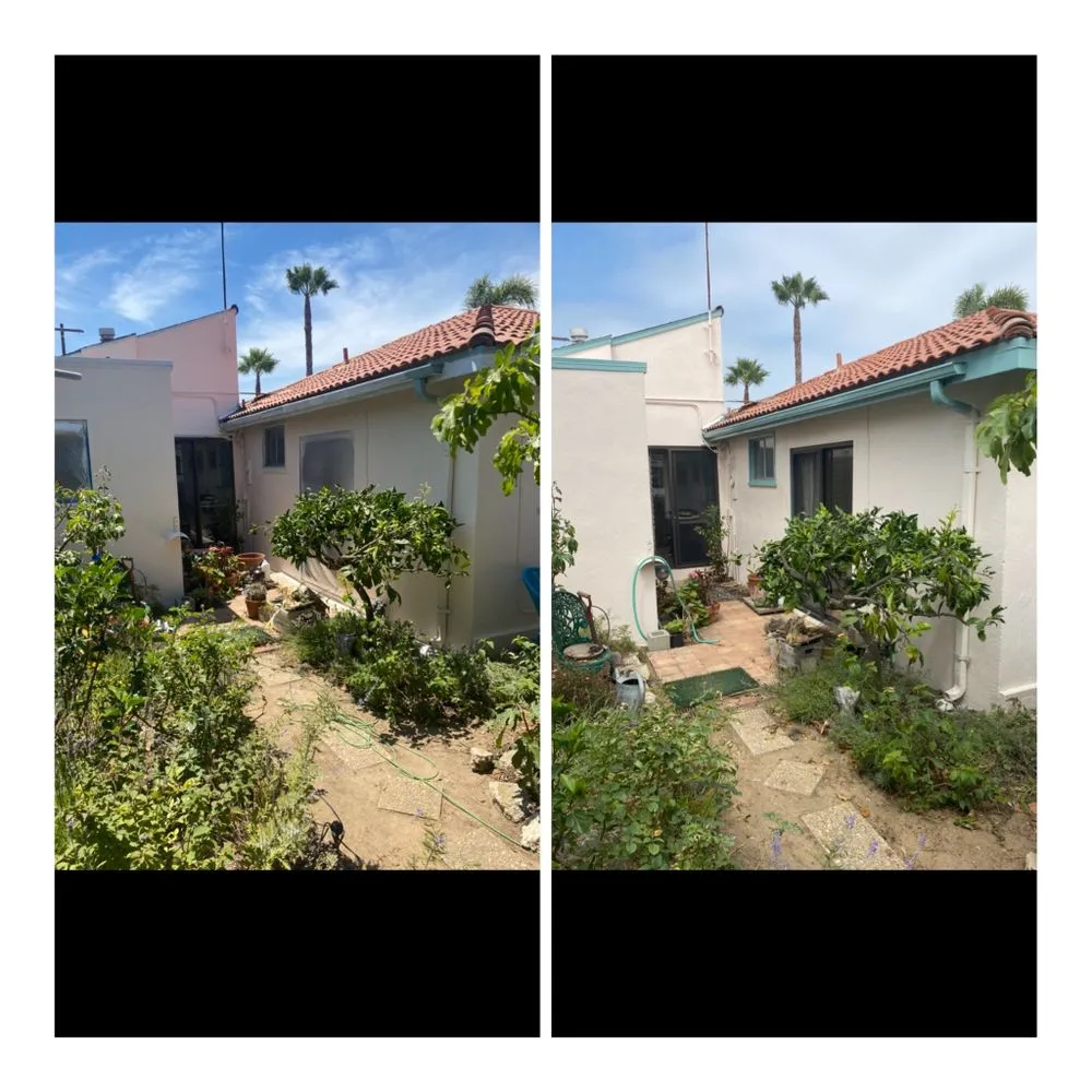 Slide of Carroll Painting