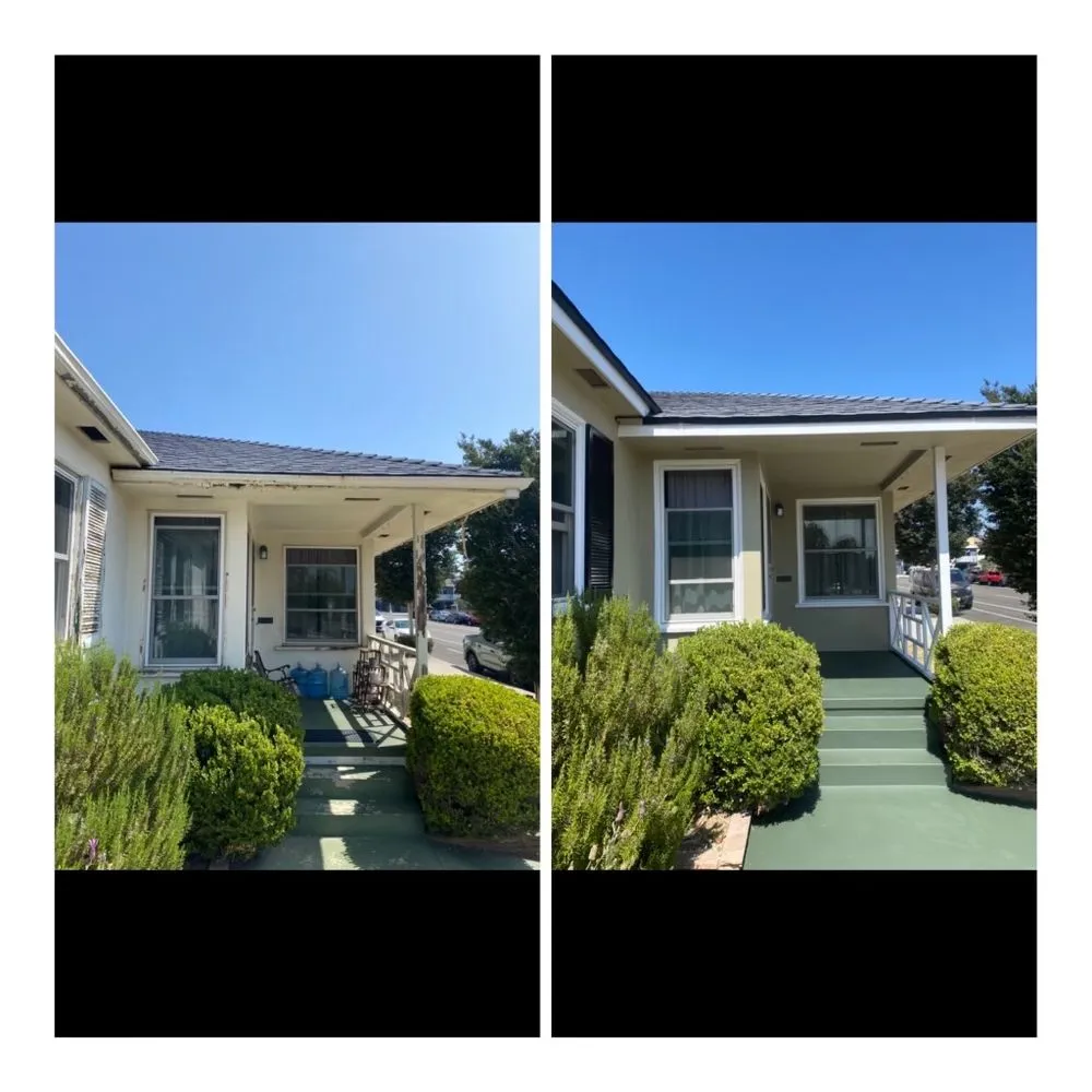 Slide of Carroll Painting