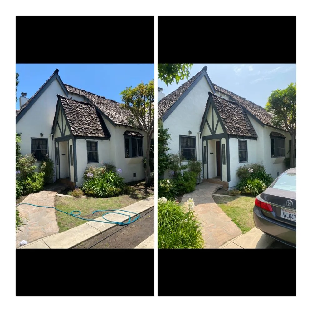 Slide of Carroll Painting