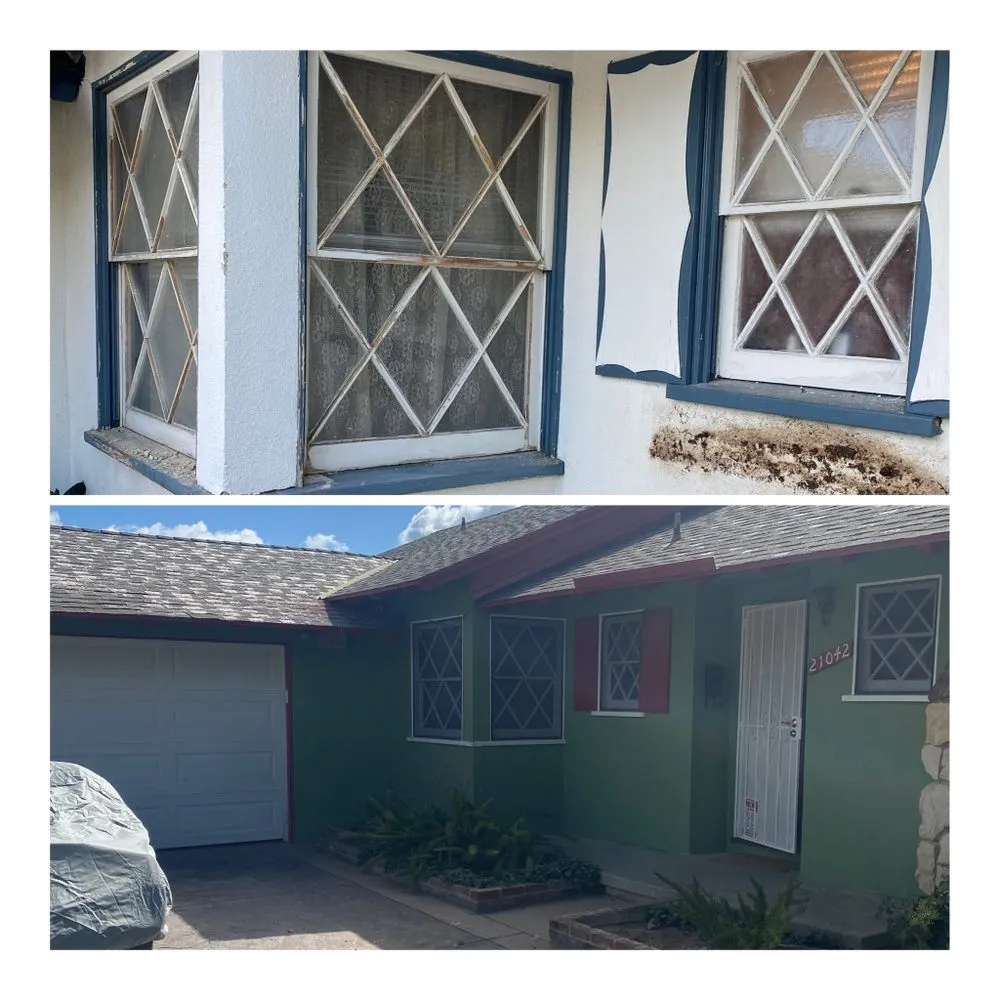 Slide of Carroll Painting