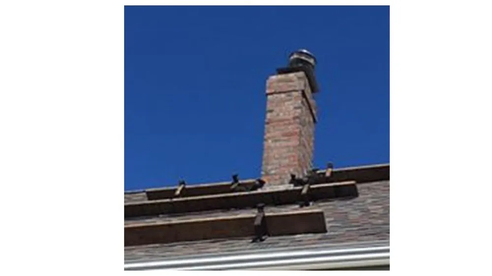 Slide of Carroll Sons