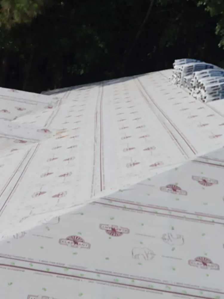 Slide of Carsyn Strong Repairs