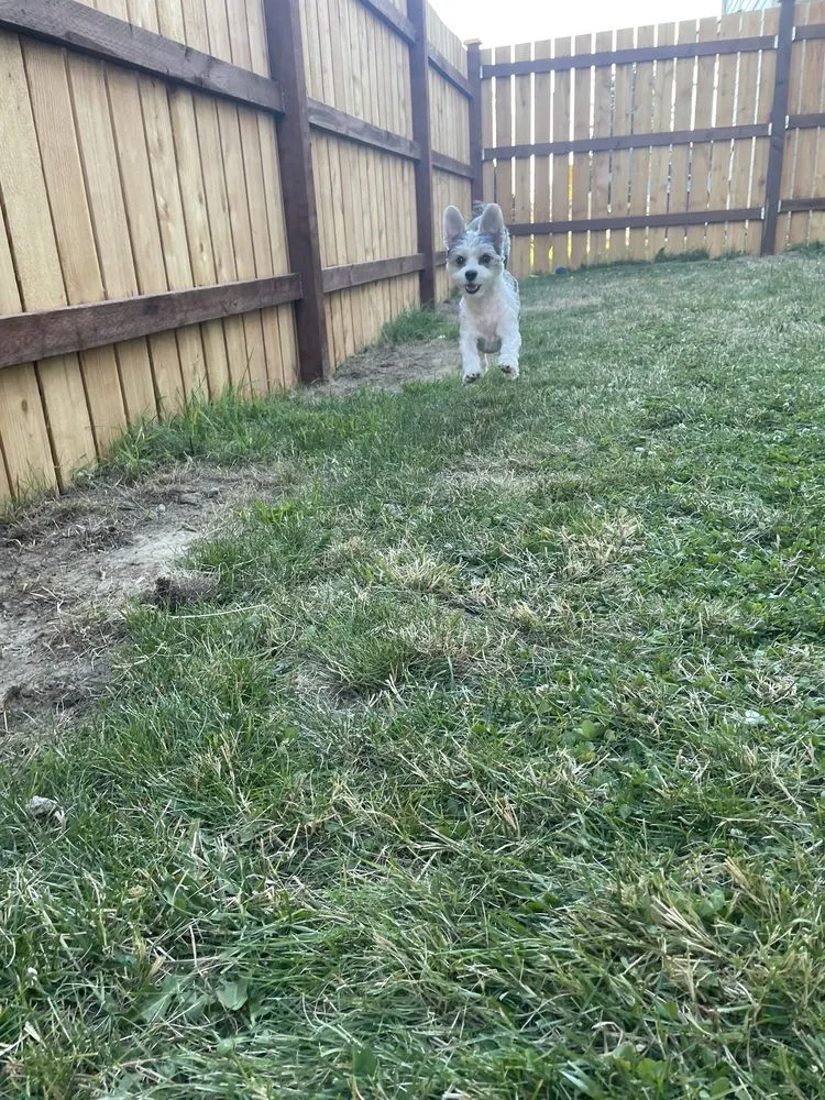 Slide of Cascade Ridgeline Construction