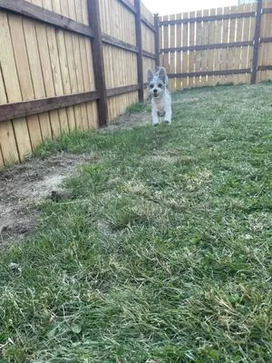 Cascade Ridgeline Construction