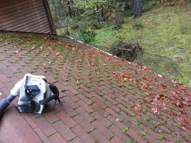 Slide of Cascade Roof Care-Cascade Wood Care