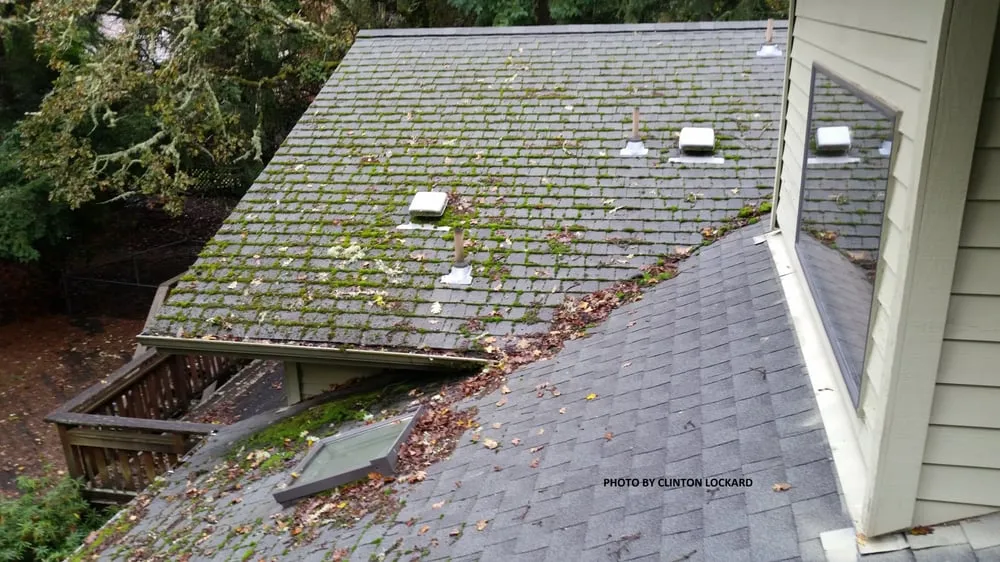 Slide of Cascade Roof Care-Cascade Wood Care