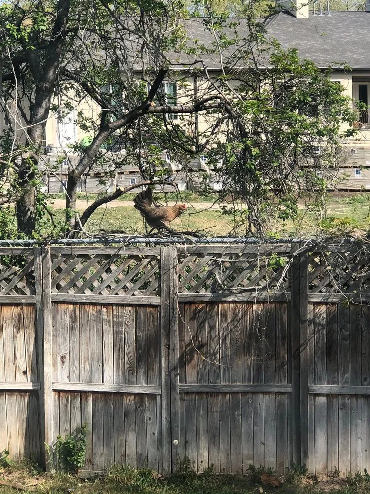 Slide of Case Construction And Roofing LLC