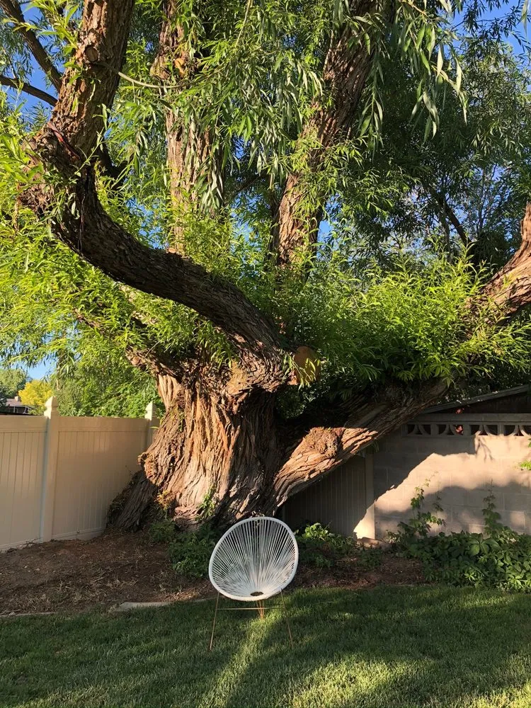 Slide of Case Construction And Roofing LLC