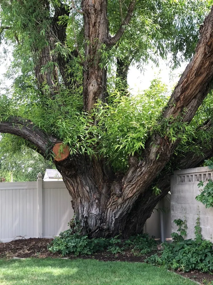 Slide of Case Construction And Roofing LLC