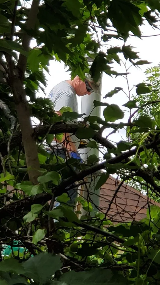 Slide of Casey Roofing