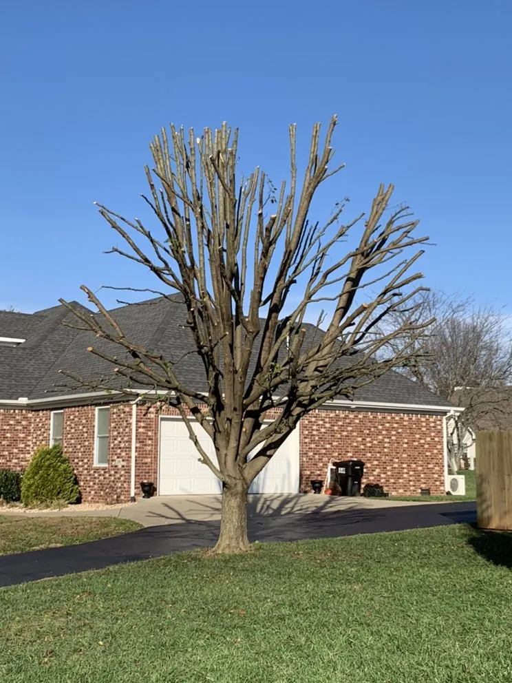 Slide of Cassity's Construction Contactors