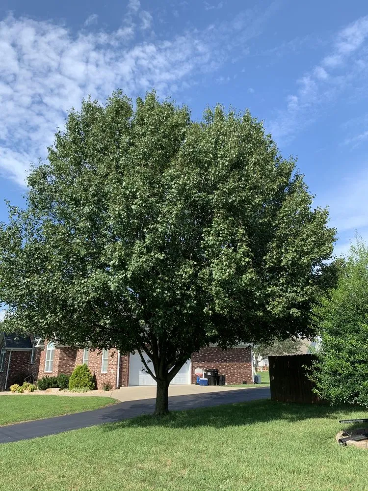 Slide of Cassity's Construction Contactors