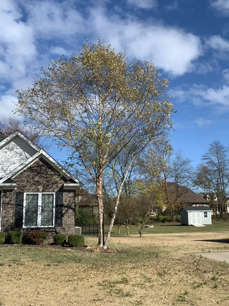 Slide of Cassity's Construction Contactors