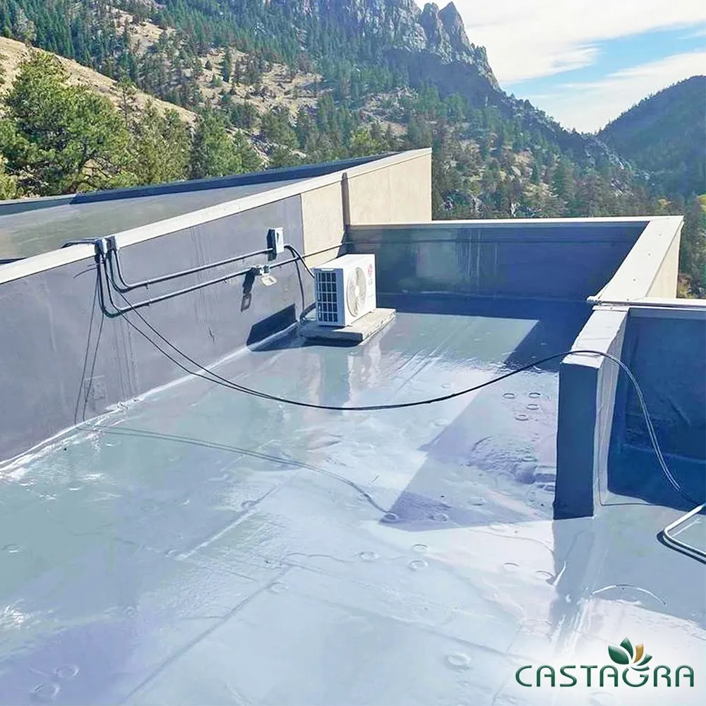 Slide of Castagra Products