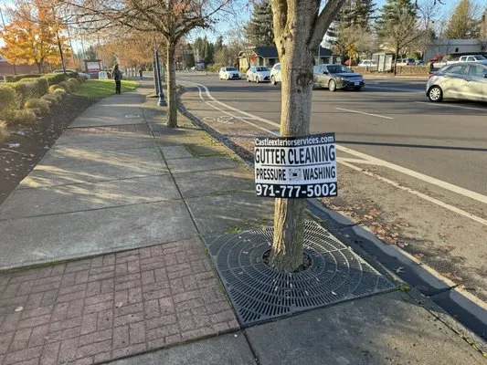 Castle Exterior Services Logo