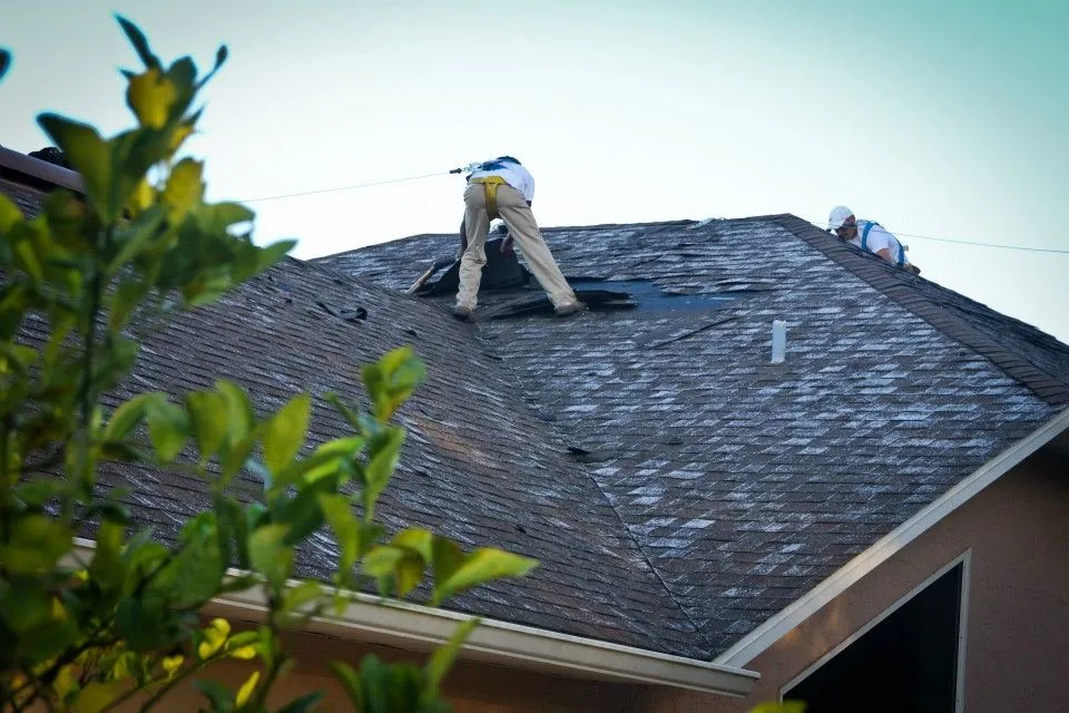 Slide of Castle Roofing