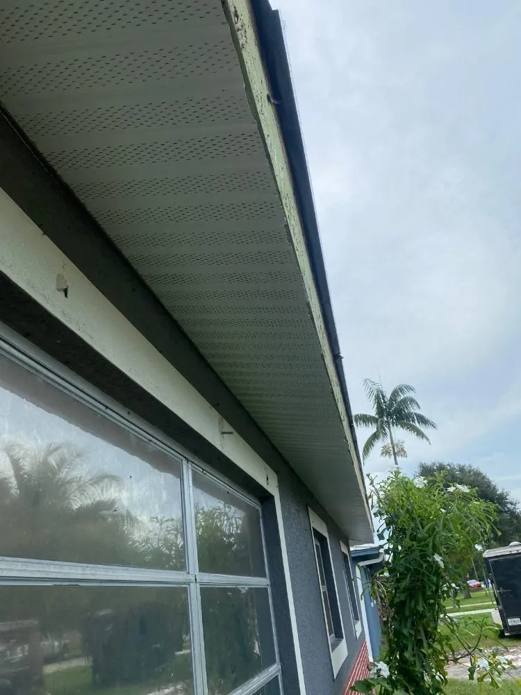 Slide of Castro's Services of FL