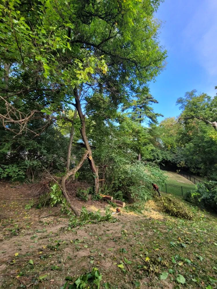 Slide of Catramex Services