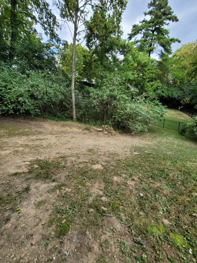 Slide of Catramex Services