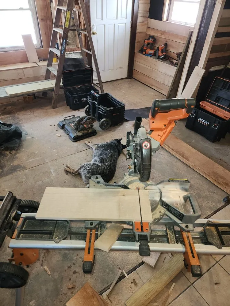 Professional shingle roofing service in Spurgeon, IN - Caveman Dave's Home and Auto