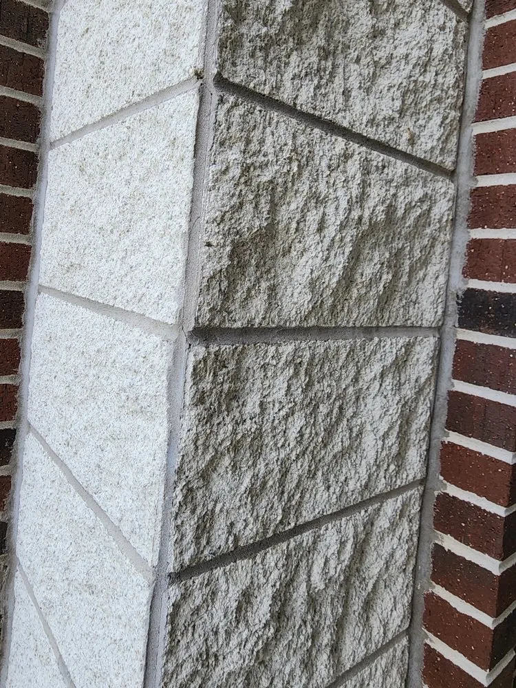 Trusted shingle roofing service in Burlington, WV by CB&E Builders