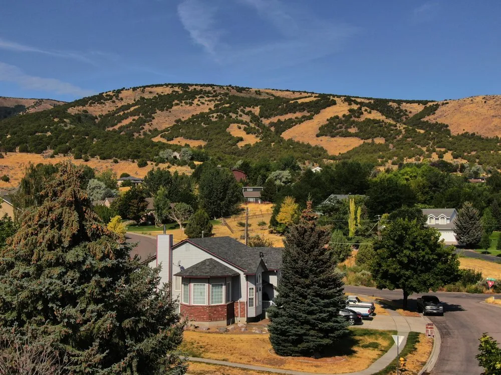 Slide of CCX Roofing