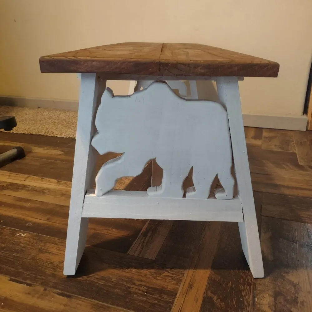 Slide of CD Construction