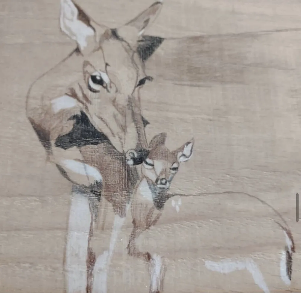 Slide of CD Construction