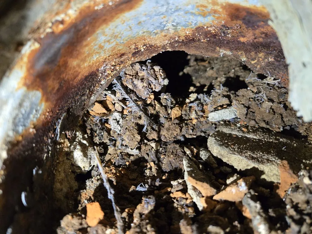 Slide of C&D Renovations and Automotive