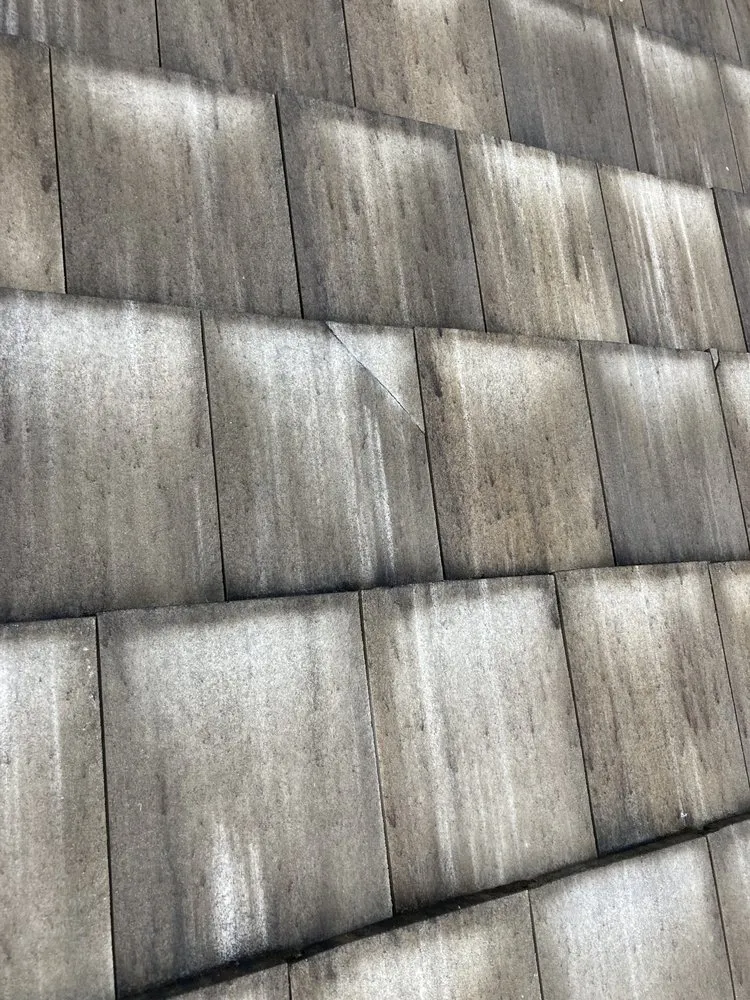 Slide of C&E Soft Wash Solutions