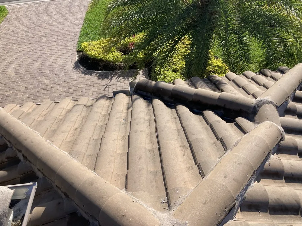 Slide of C&E Soft Wash Solutions