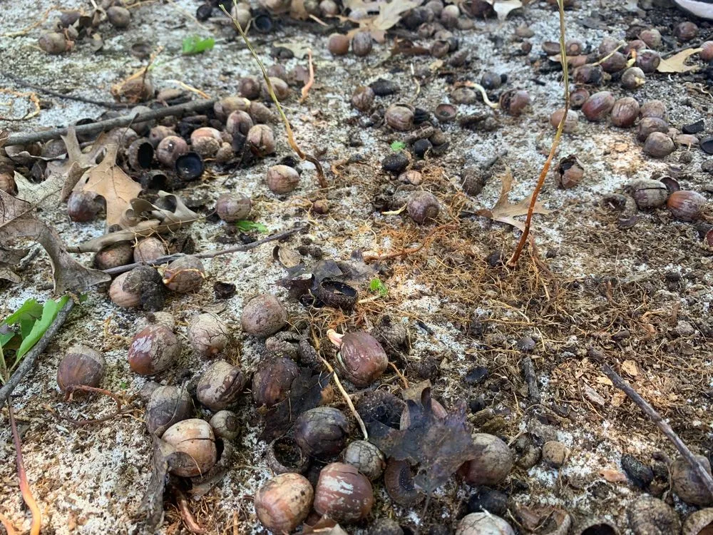 Slide of CECO Contracting