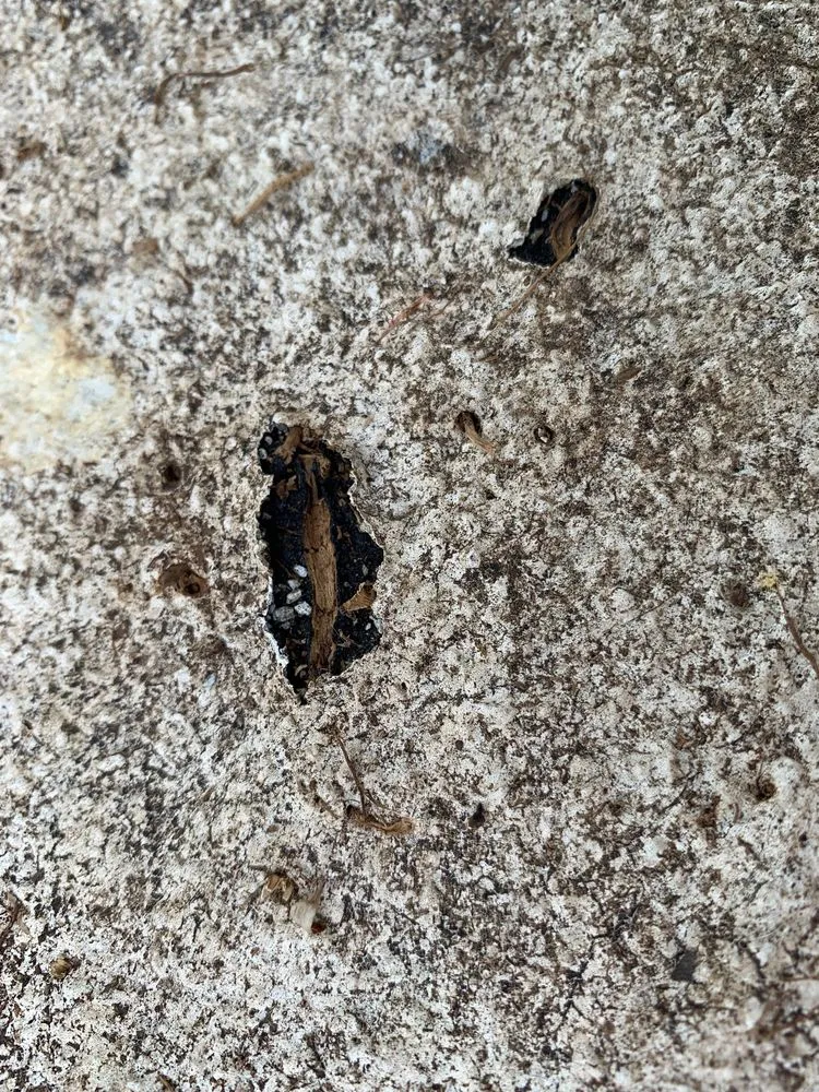 Slide of CECO Contracting