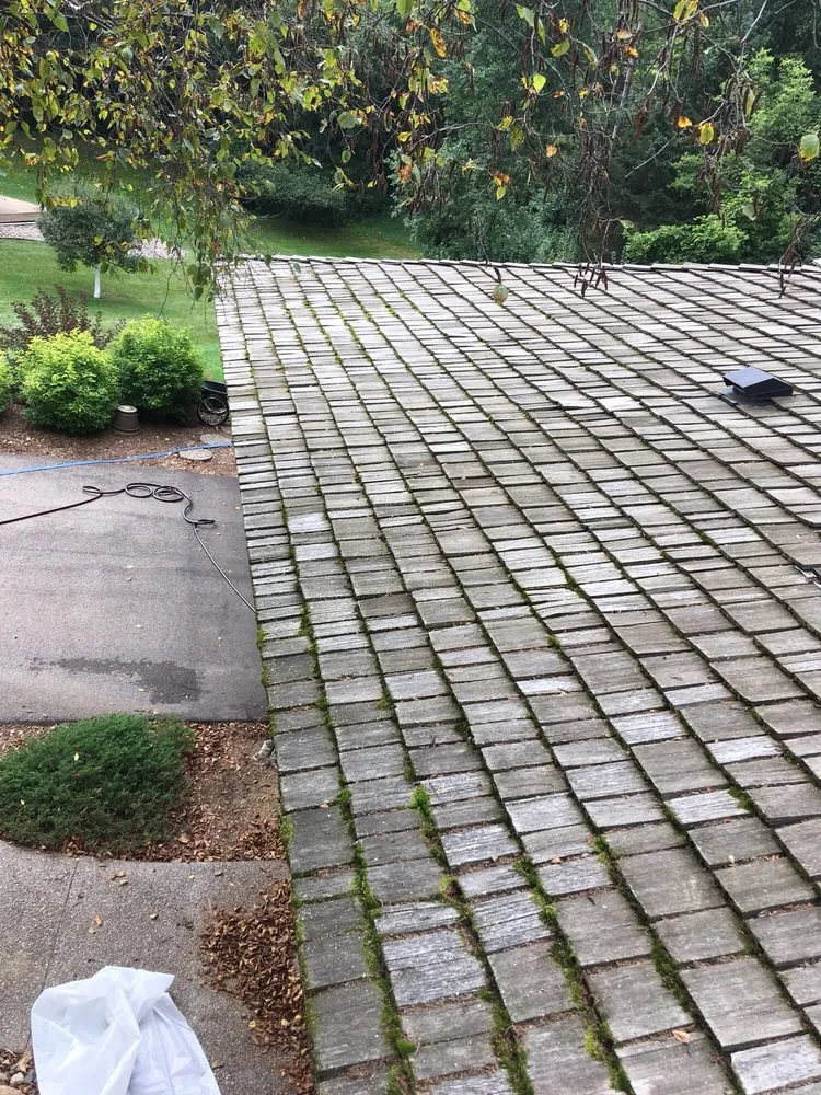 Slide of Cedar Experts