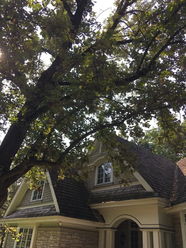 Slide of Cedar Experts