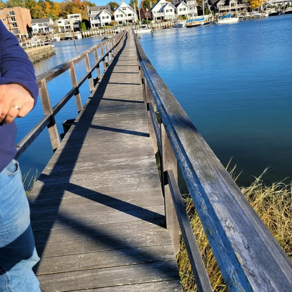 Slide of Cedar Roof Protection