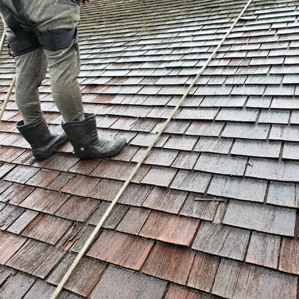 Slide of Cedar Roof Protection