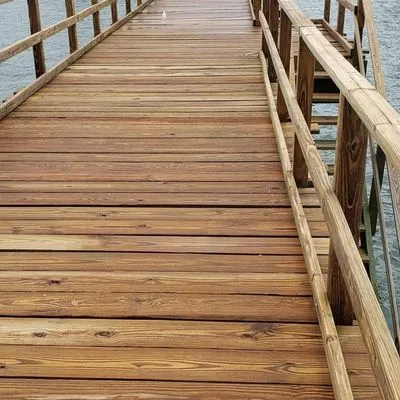 Cedar Roof Protection Logo