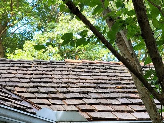 Cedar Shake Restoration Logo