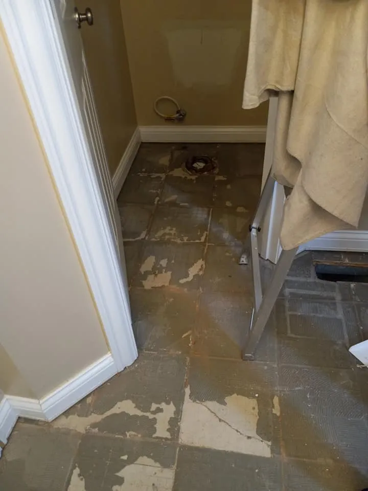 Slide of Cedenos Construction