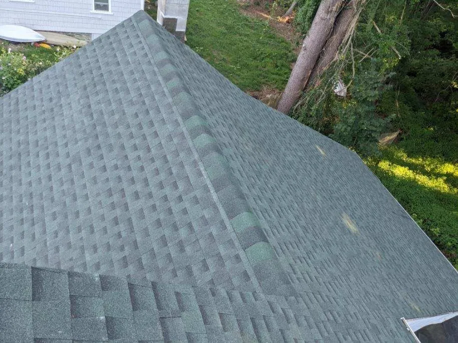 Slide of Central Mass Roof Restorations