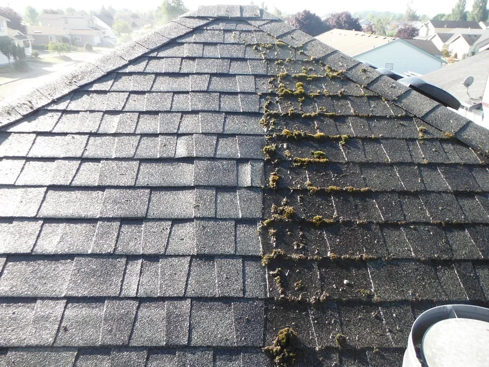 Slide of Centsible Services