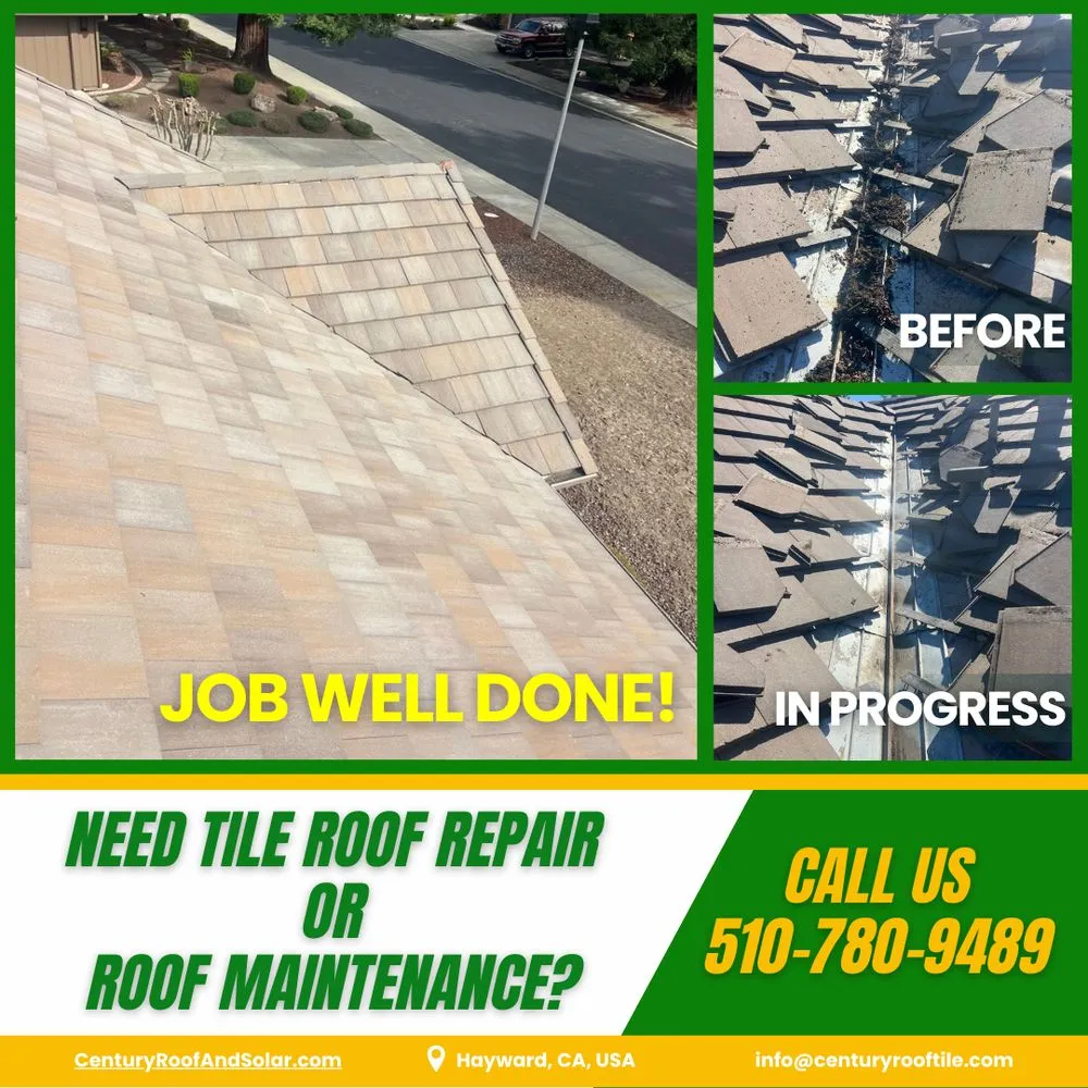 Slide of Century Roof and Solar