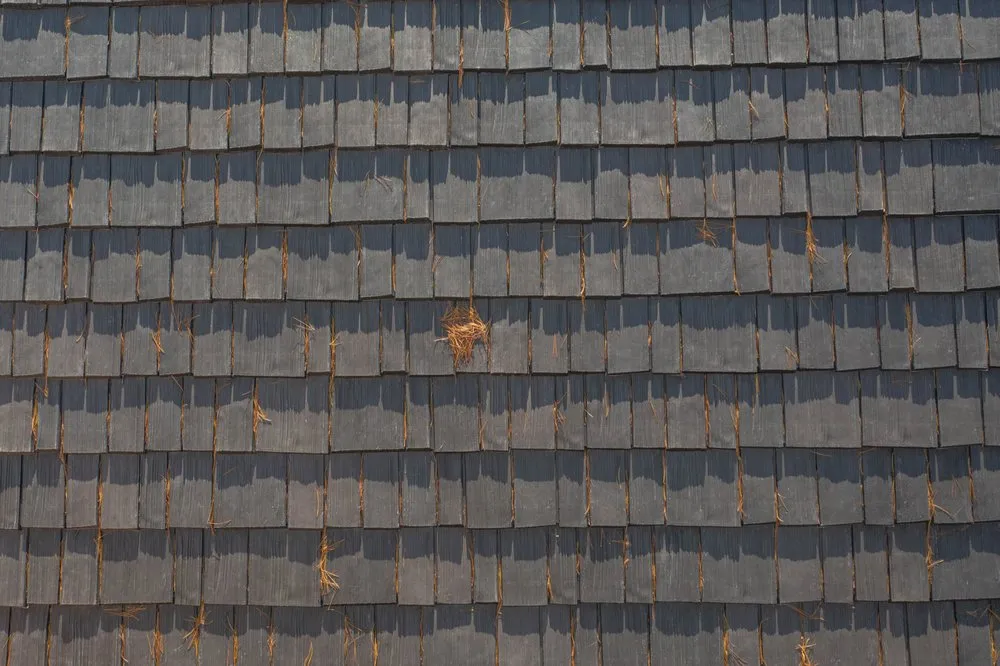 Slide of Cenvar Roofing - Roanoke