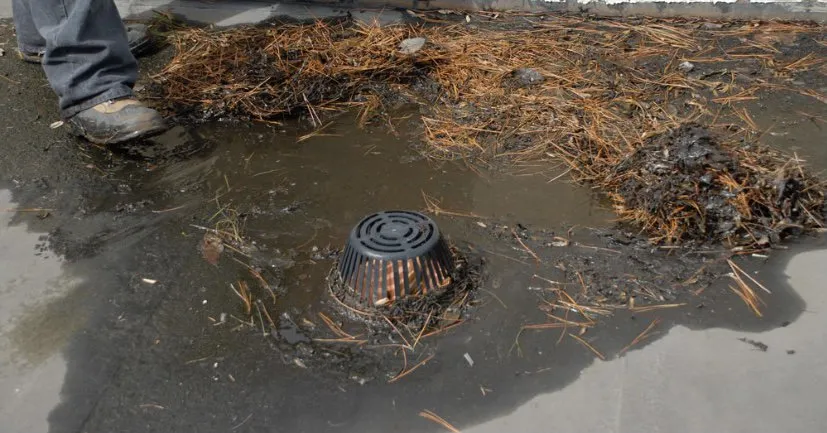 Slide of Cermak Roofing & Tuck Pointing