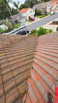 Certified Property Services Logo