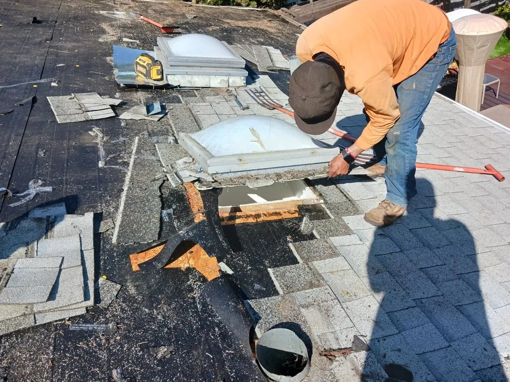 Slide of Cesar Arenas