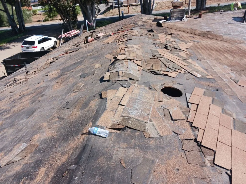 Slide of Cesar Arenas