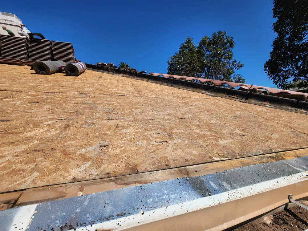 Slide of Cesar Arenas