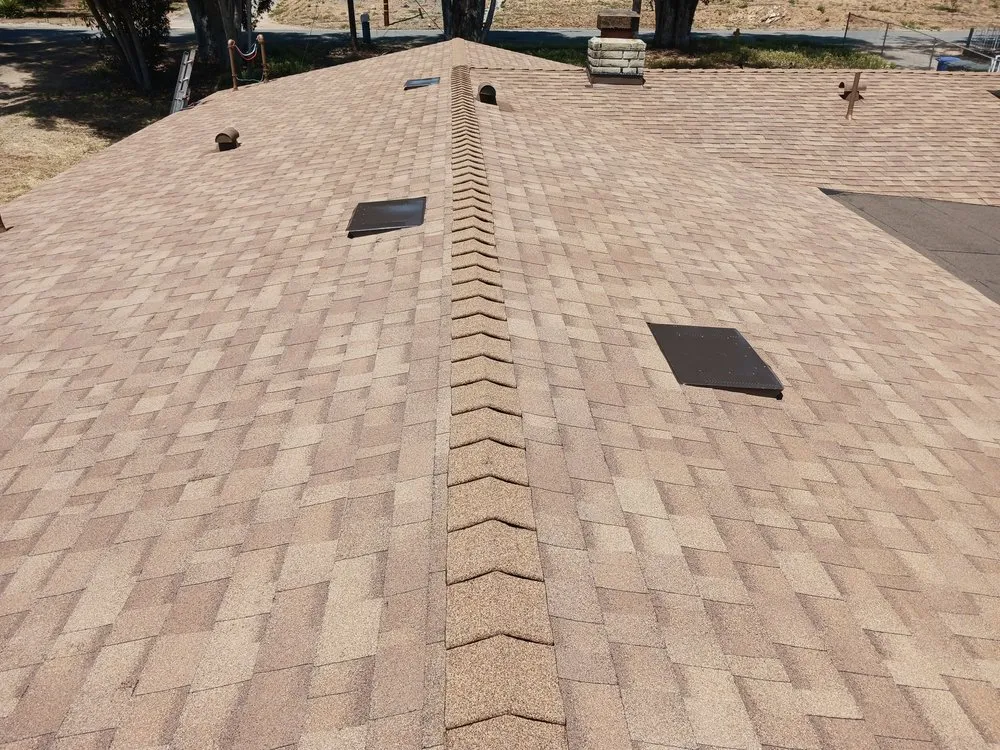 Slide of Cesar Arenas